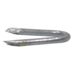 20mm Galvanised Staples 35g